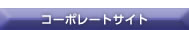 R[|[gTCg͂灨